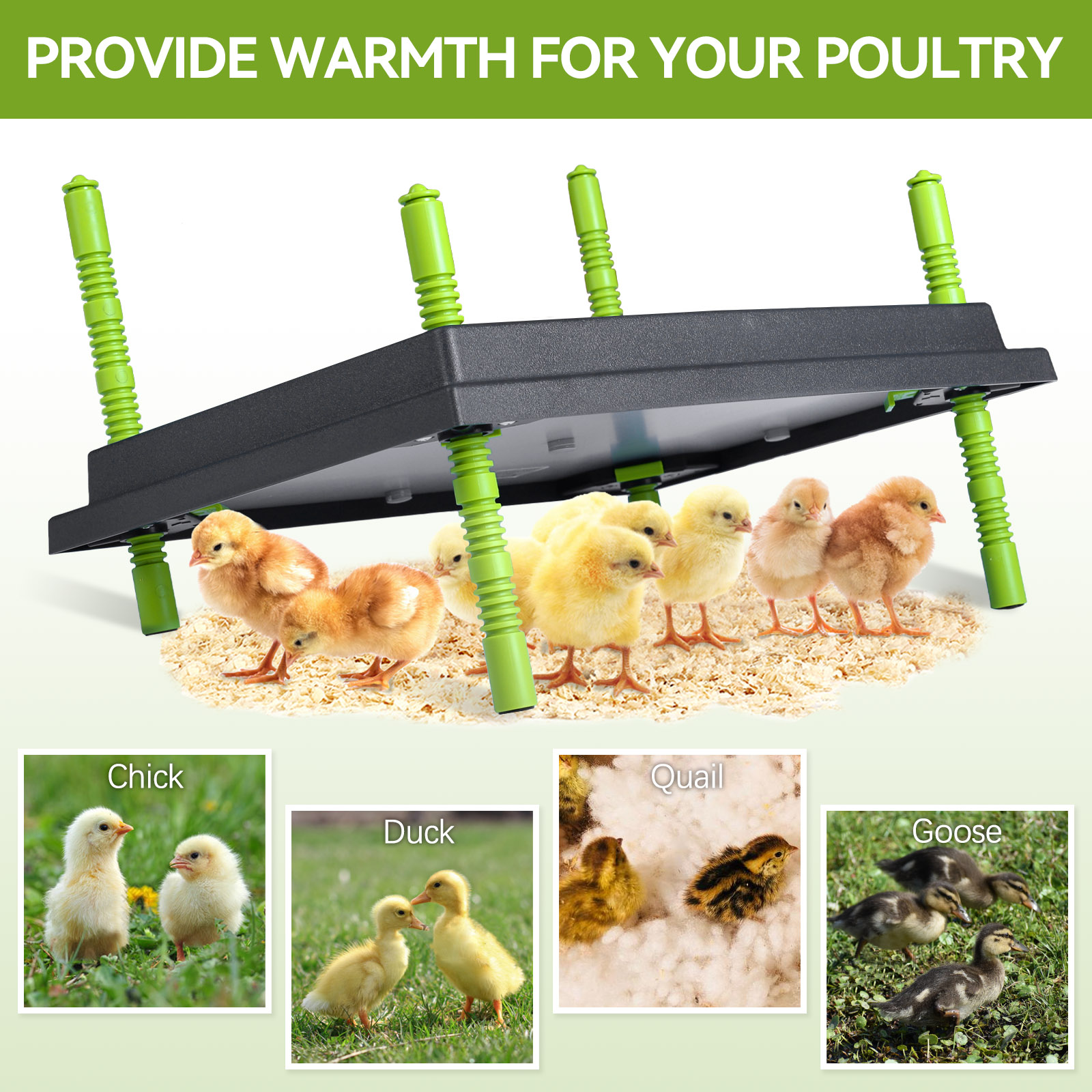 30x40cm Civciv Isıtma Plakası  - Hot Dog Roller Grill incelemesi ve fiyatı
